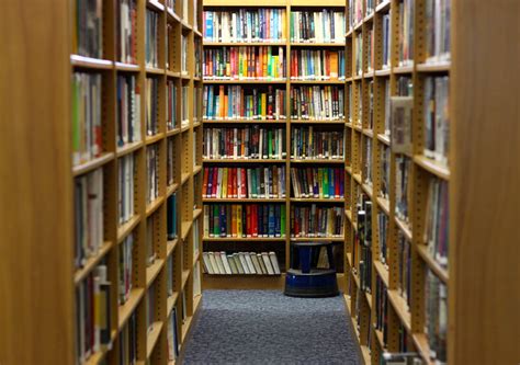 BDSM Library .